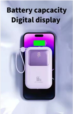 Universal Portable Power Bank