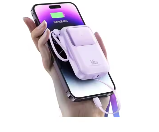 Universal Portable Power Bank